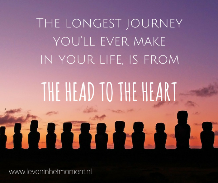 the longest journey from head to heart